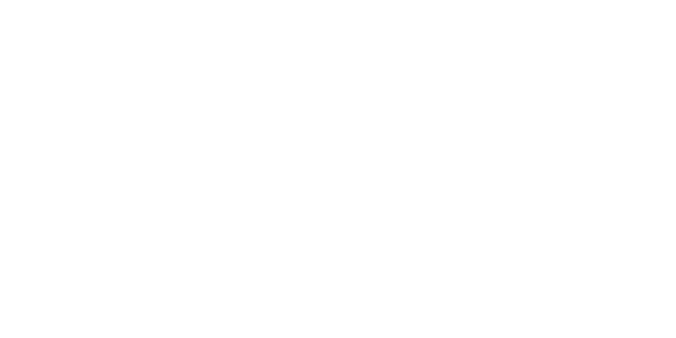 豊川稲荷御開帳